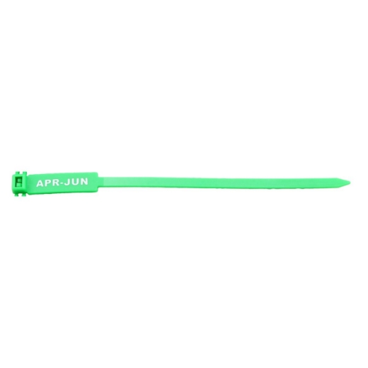 Picture of Rigging / Inspection Tags, "APR-JUN" Printed Text, Green, 100/bag