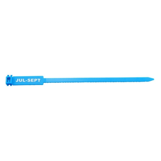 Picture of Rigging / Inspection Tags, "Next Insp Due" Printed Text, Blue, 100/bag