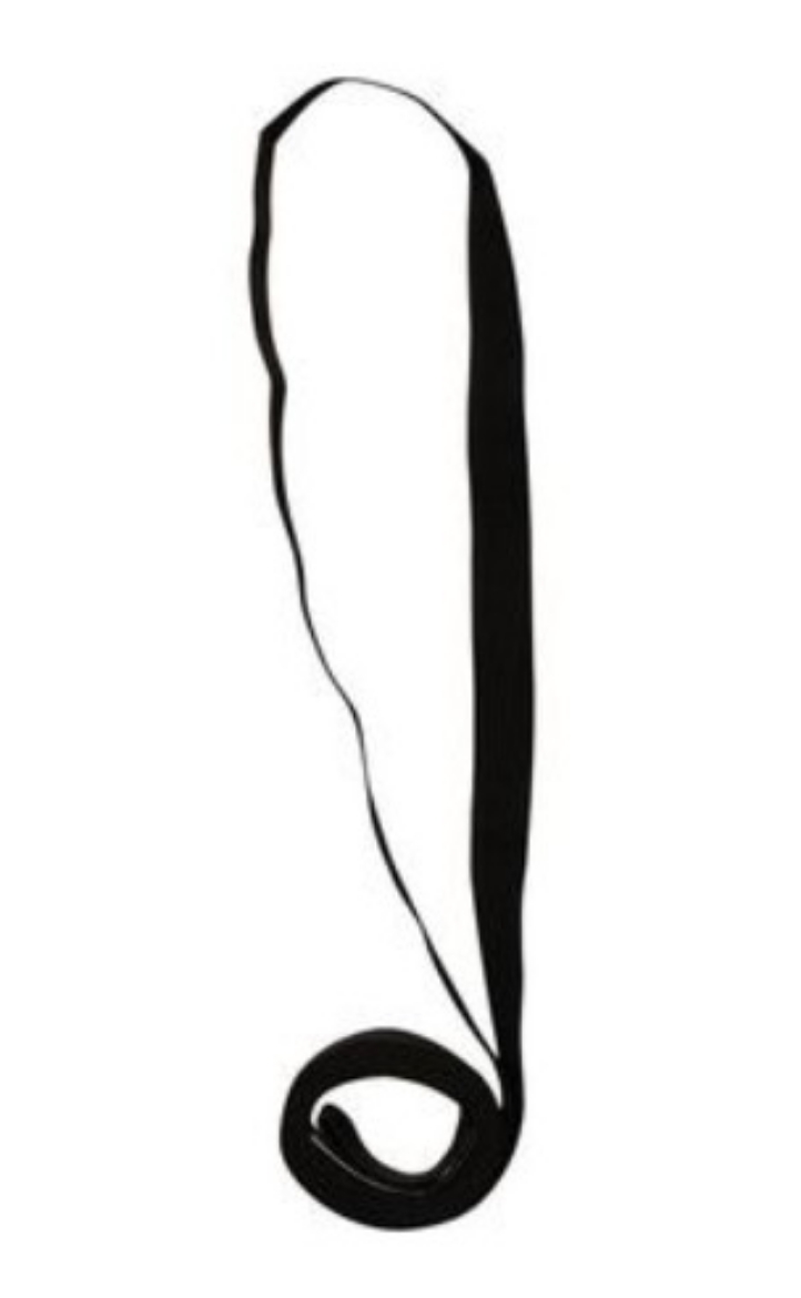 Picture of LINQ Anchor Strap Endless round 25mm 1.5M